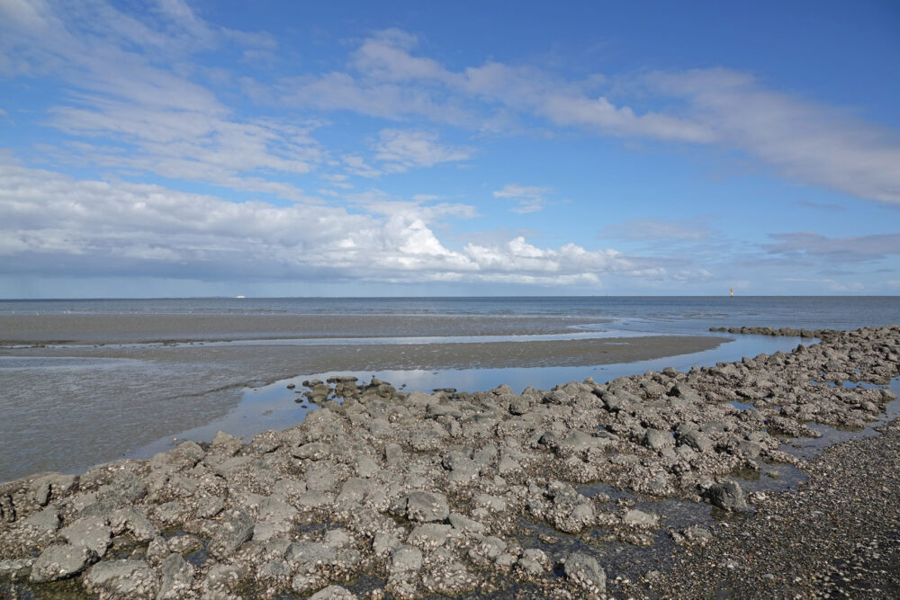 Wad Rommelhoek