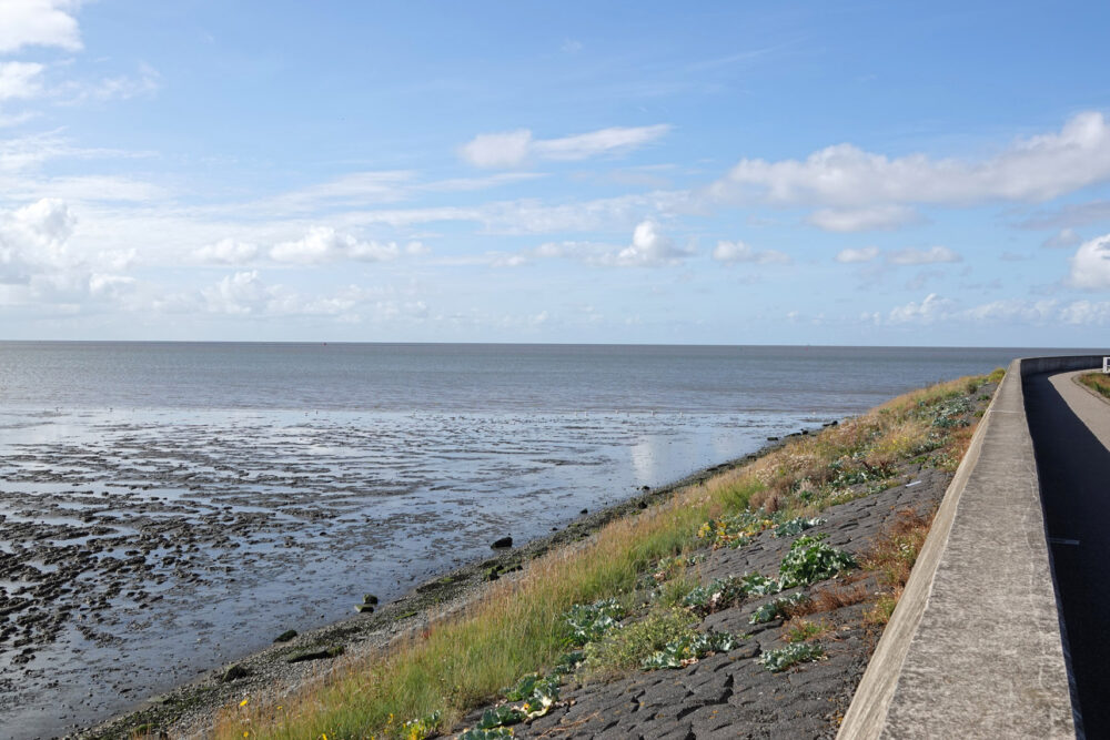 Wad bij Harlingen