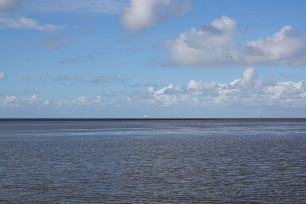 Wad bij Harlingen