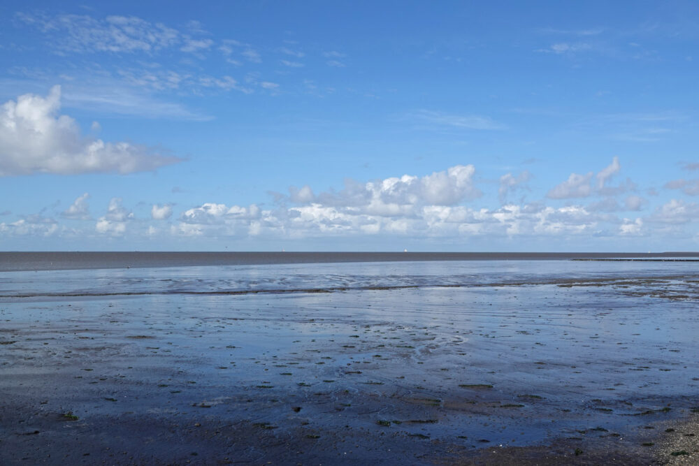 Wad bij Harlingen
