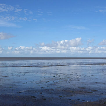 Wad bij Harlingen