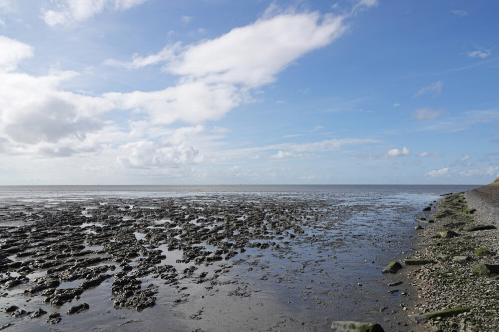 Wad bij Harlingen