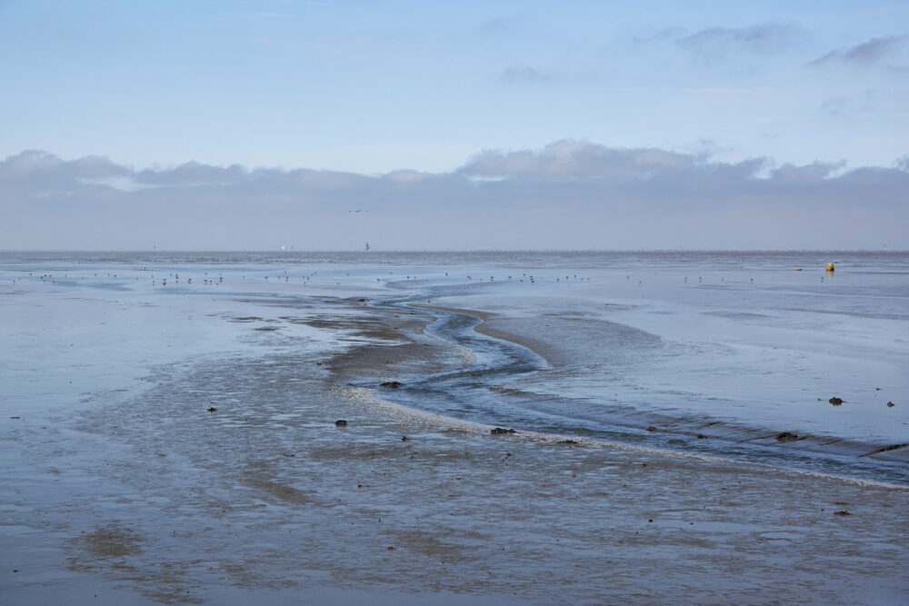 Wad bij Hoek van de Bant