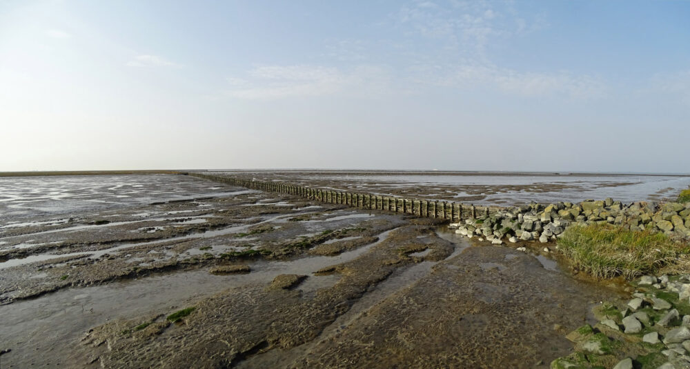 Wad bij Holwerterwestpolder