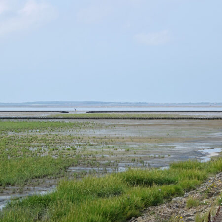 Holwerterwestpolder (Noard-Fryslân-Bûtendyks)