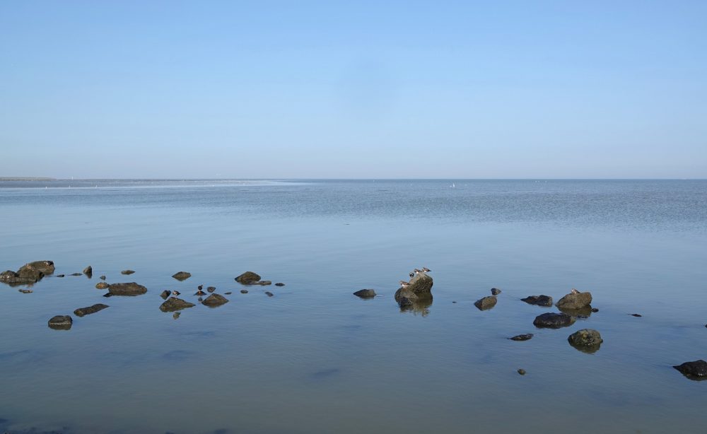Wad bij Rommelhoek in het najaar