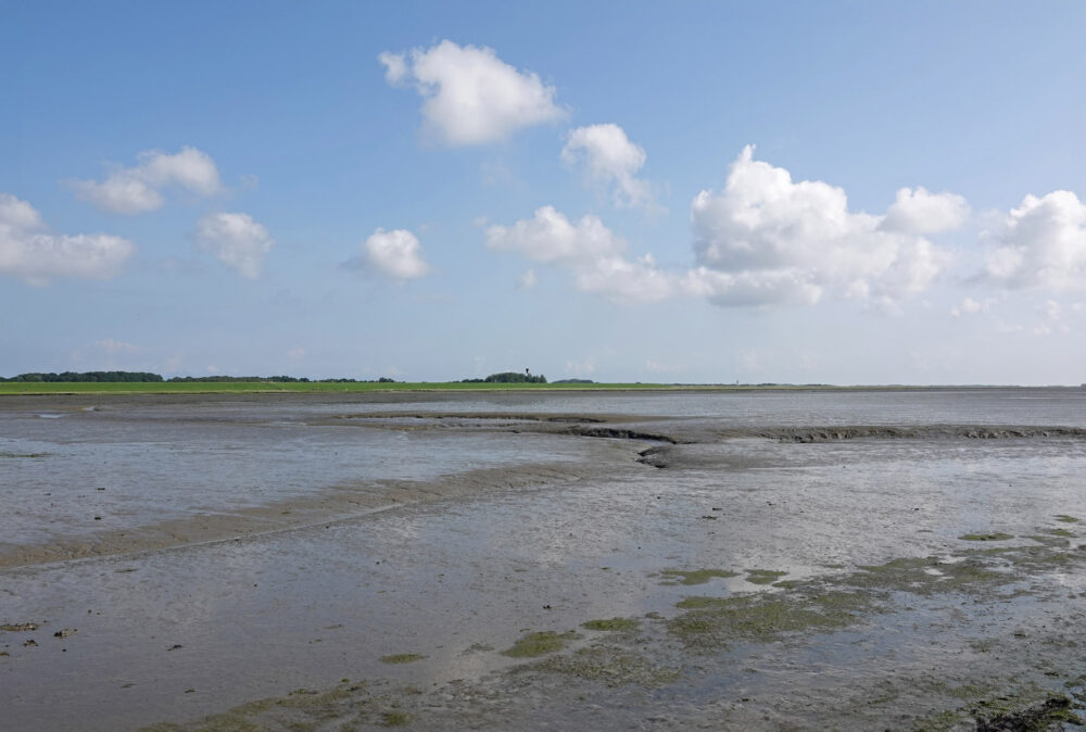 Wad bij Schiermonnikoog