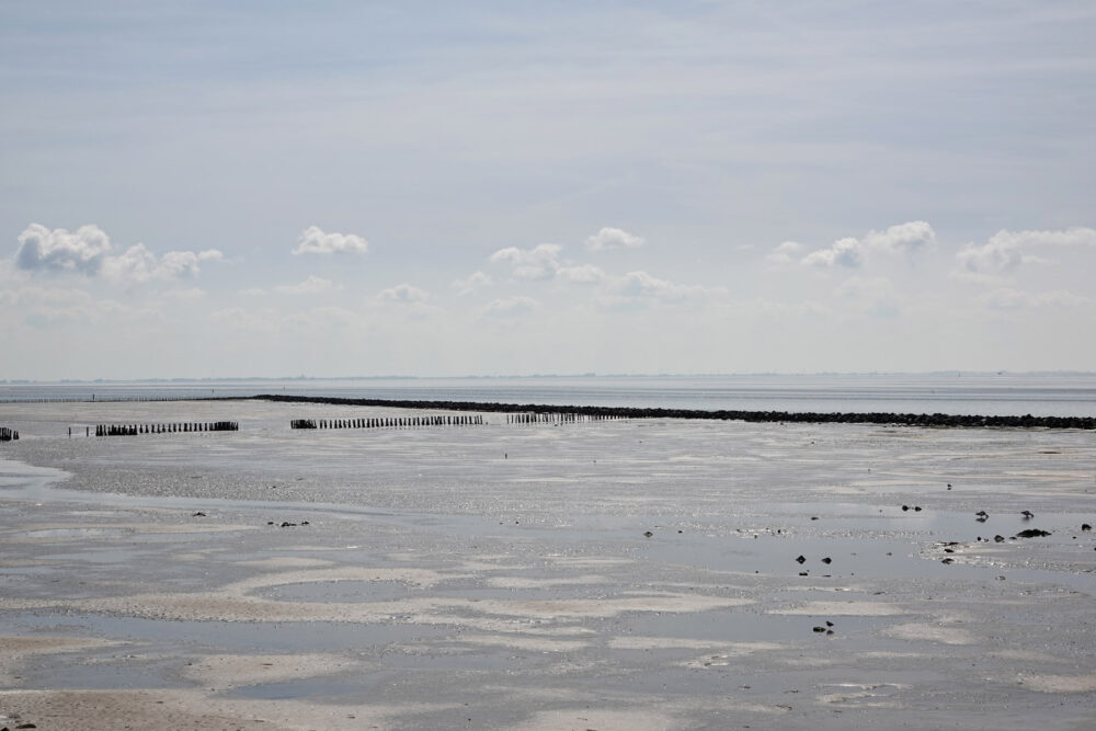 Wad bij Vogelpôlle (Ameland)