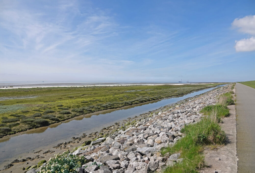 Wad bij Vogelpôlle (Ameland)