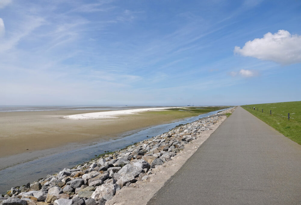Wad bij Vogelpôlle (Ameland)