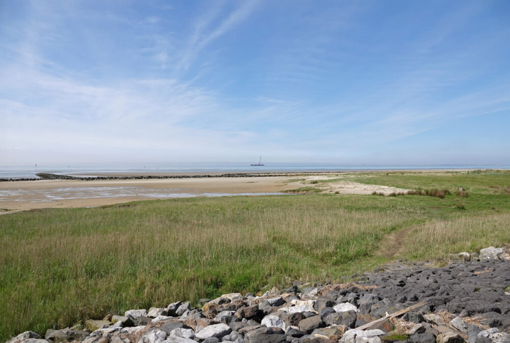 Wad bij Vogelpôlle (Ameland)