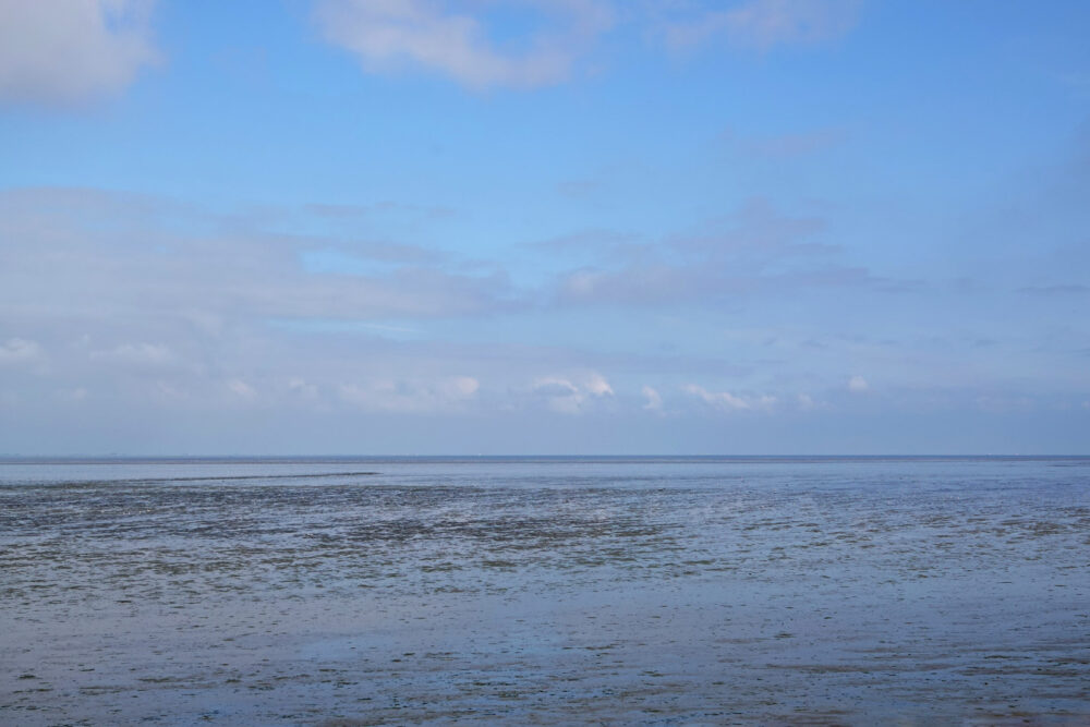 Wad bij Westerland