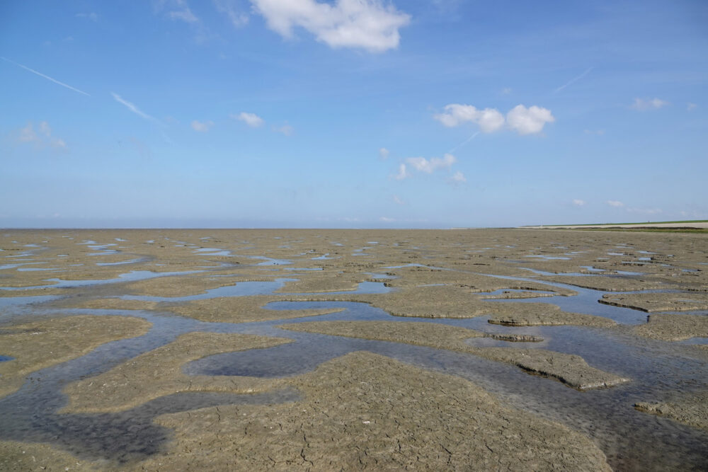 Wad bij Westhoek