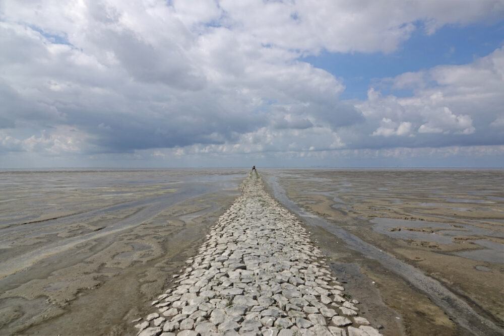 Wad bij Westhoek