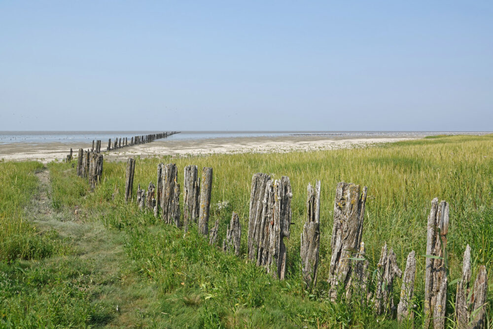 Wad bij Westhoek (Waddenzee)