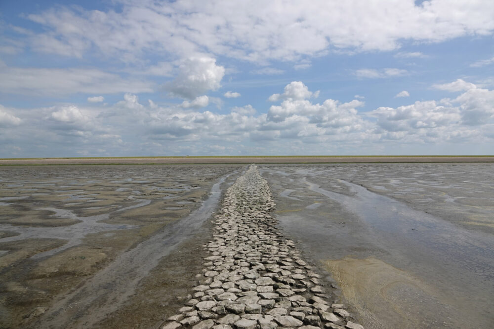 Wad bij Westhoek