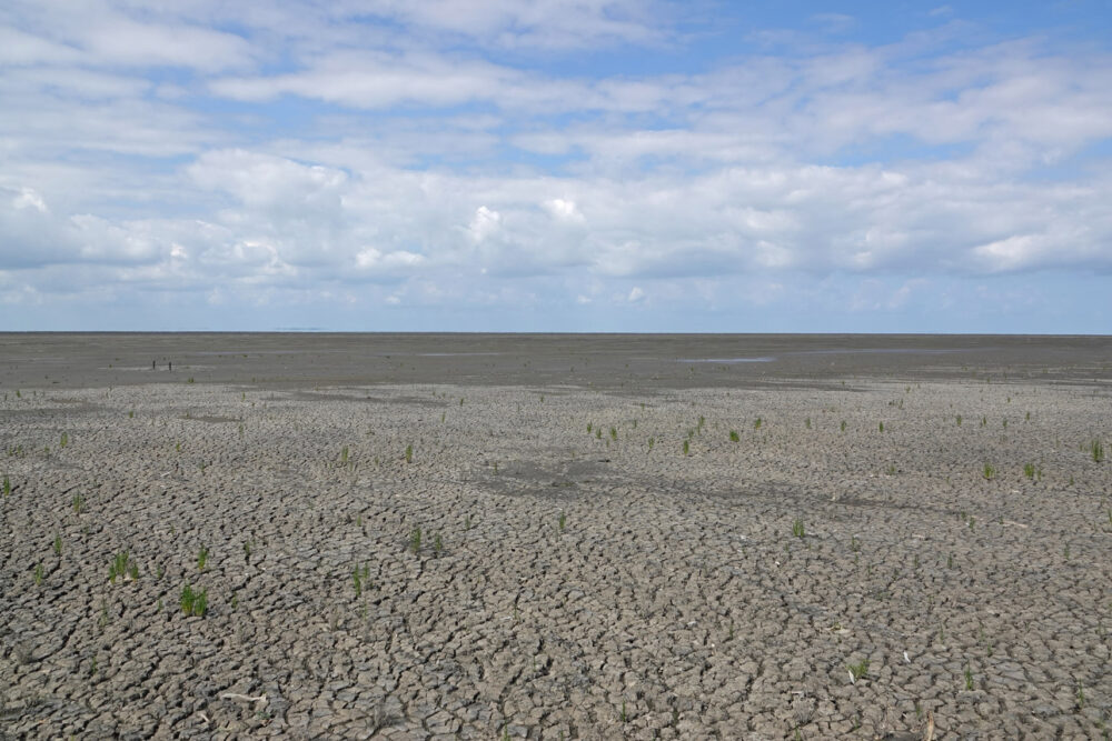Wad bij Westhoek