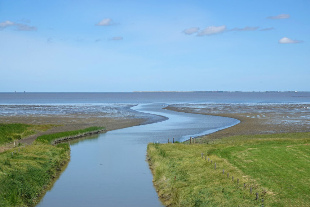 Wad bij Zwarte Haan (Bildtpollen)