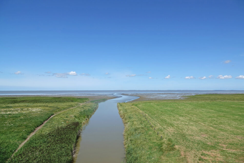 Wad bij Zwarte Haan ((Bildtpollen)