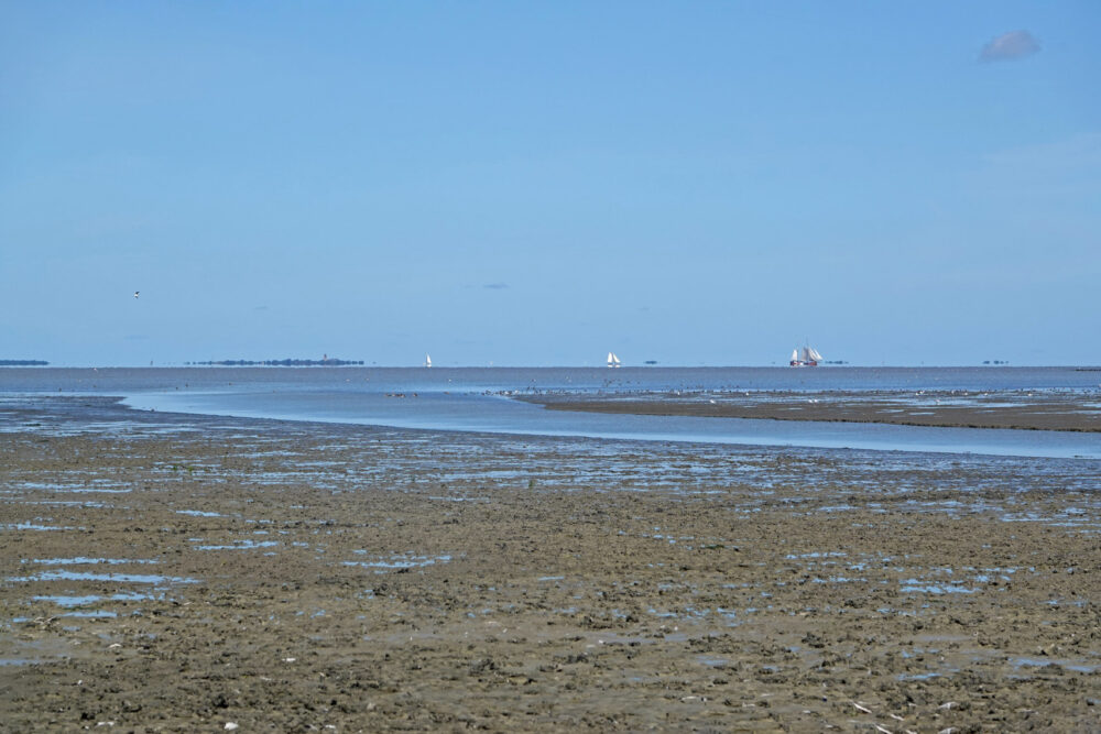 Wad bij Zwarte Haan (ten oosten van Bildtpollen)