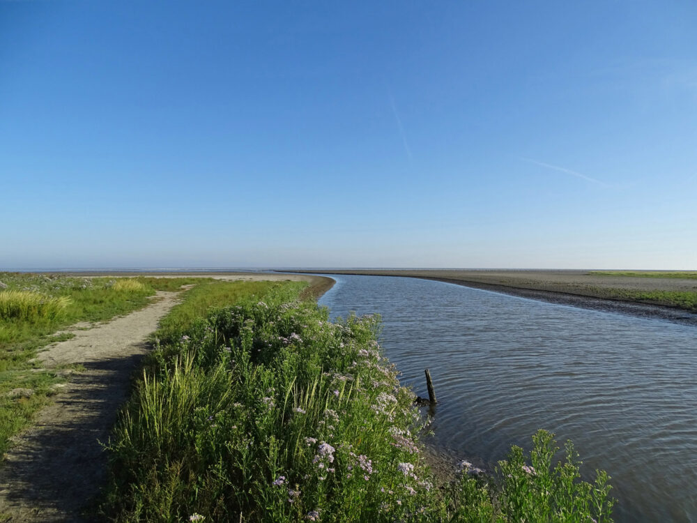 Wad (bij Zwarte Haan)(ten oosten van Bildtpollen)