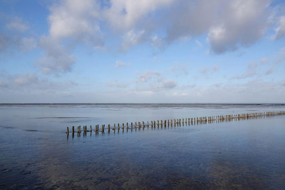 Wad bij kwelders Emmapolder