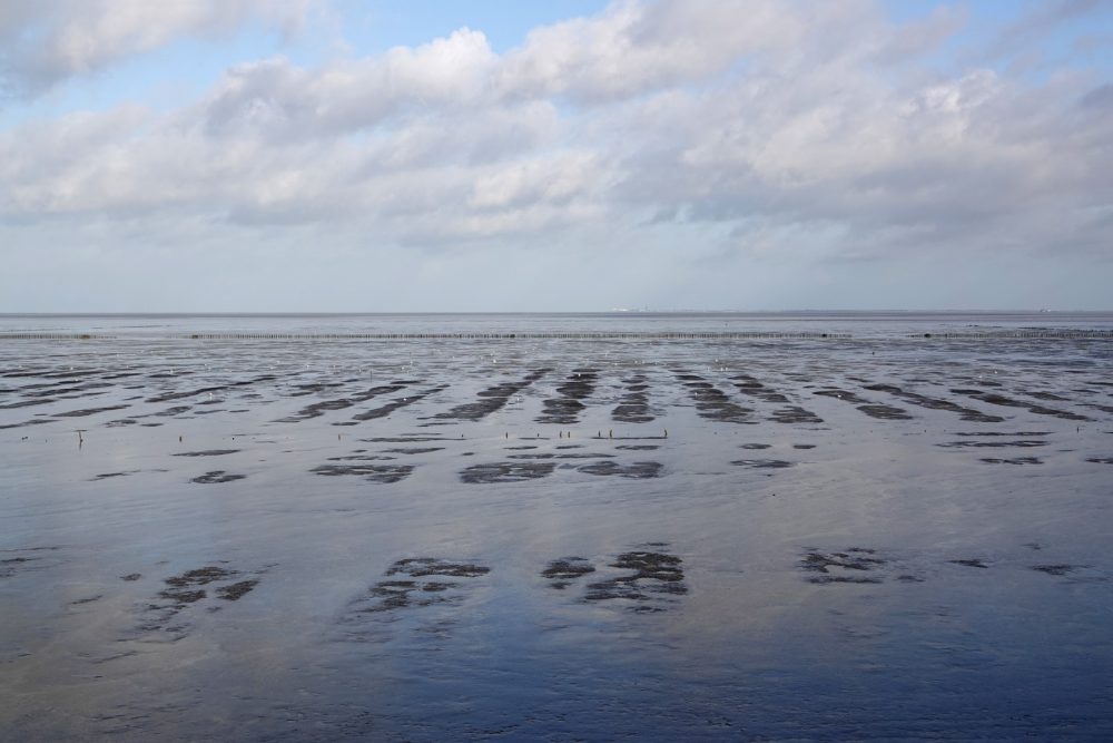 Wad Emmapolder