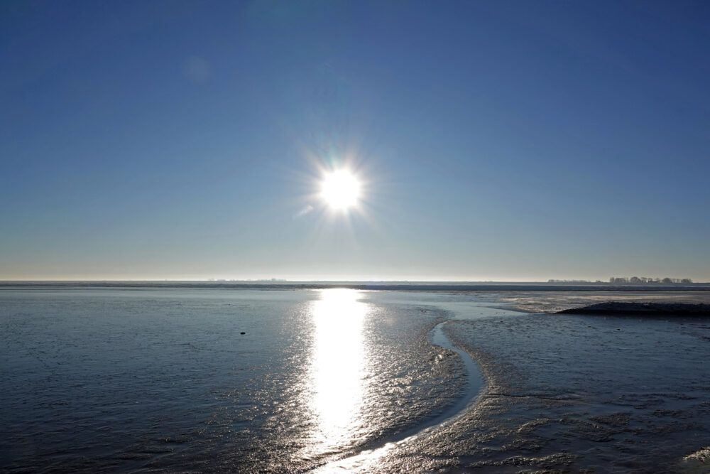 Wadden bij vorst (Peazemerlannen)