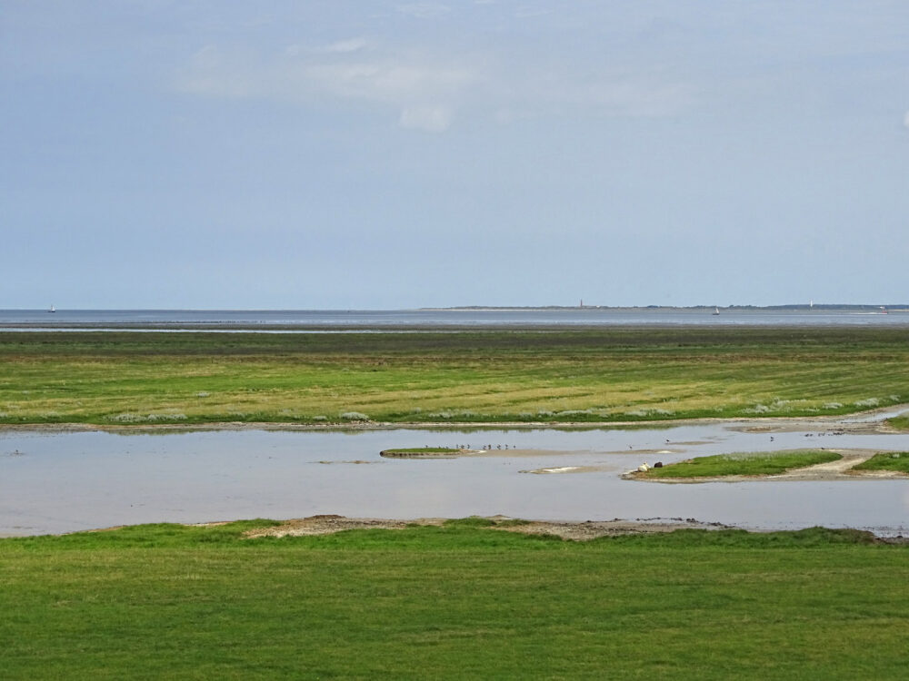 Waddenzee (Hoek van de Bant)