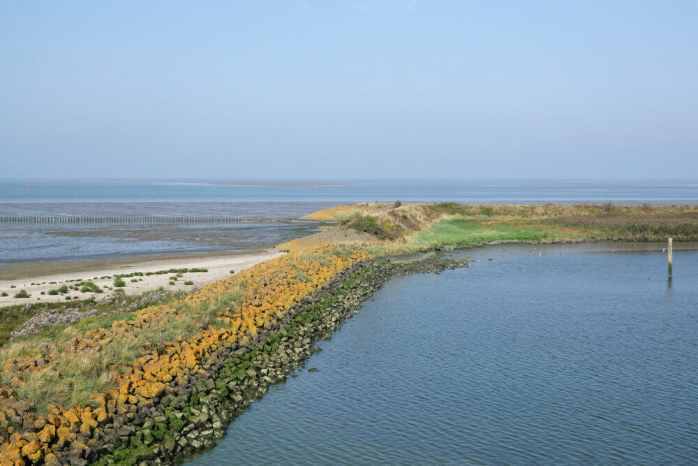 Waddenzee bij Den Oever (De Bak)