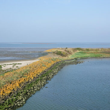 Waddenzee bij Den Oever (De Bak)