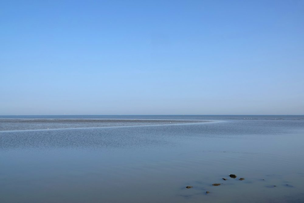 Waddenzee bij Rommelhoek