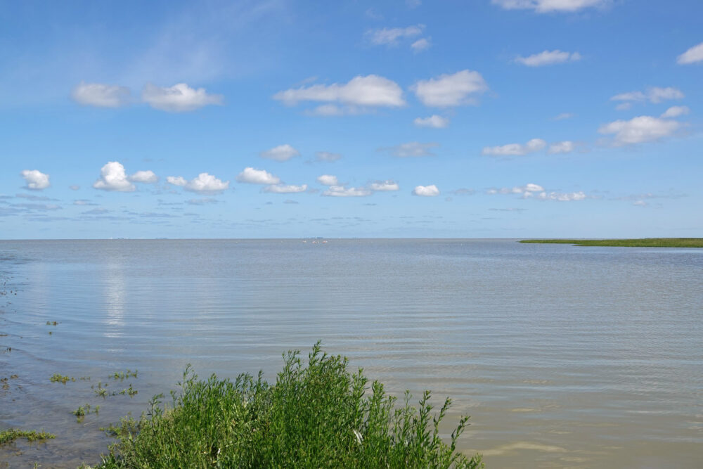 Waddenzee bij Zwarte Haan (Bildtpollen)