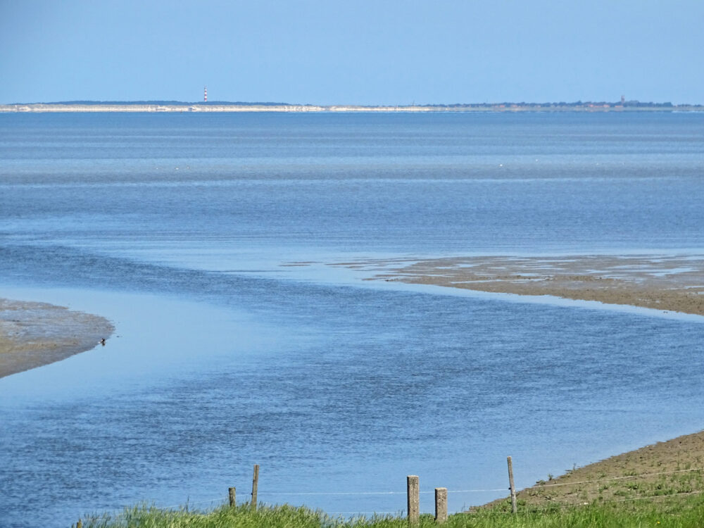 Waddenzee bij Zwarte Haan (ten oosten van Bildtpollen)
