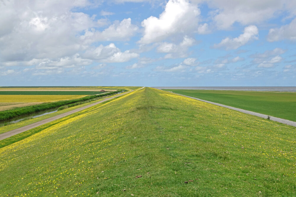 Waddenzeedijk langs kwelders Rommelhoek