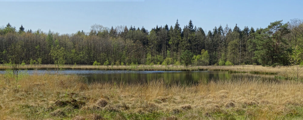 Watermolenveen (Drouwenerveld)