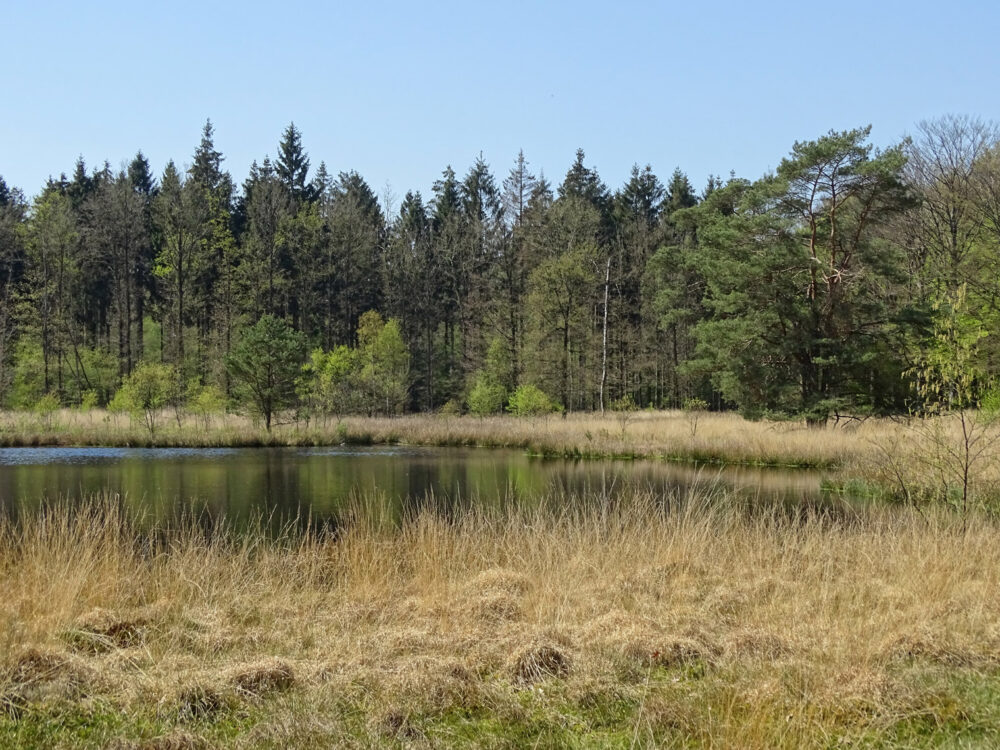 Watermolenveen (Drouwenerveld)