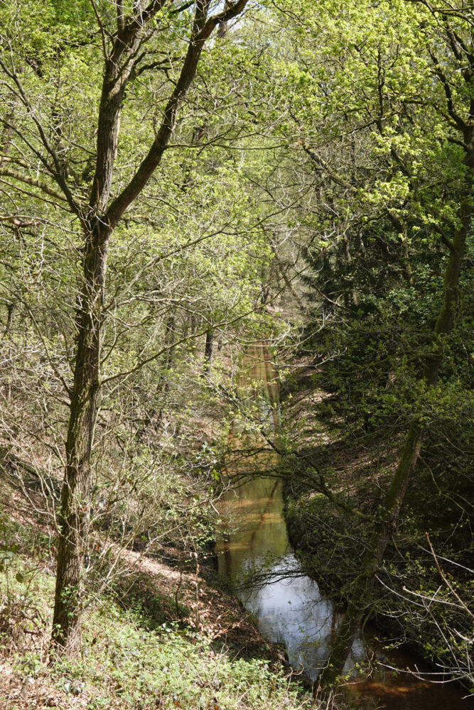 Waterval Vrijenbergerspreng in Reeënberg (Loenen)
