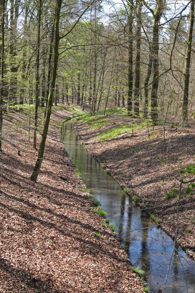 Waterval Vrijenbergerspreng in Reeënberg (Loenen)