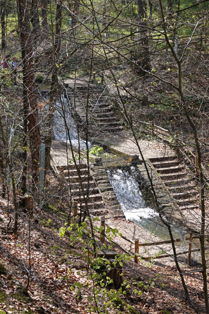 Waterval Vrijenbergerspreng in Reeënberg (Loenen)