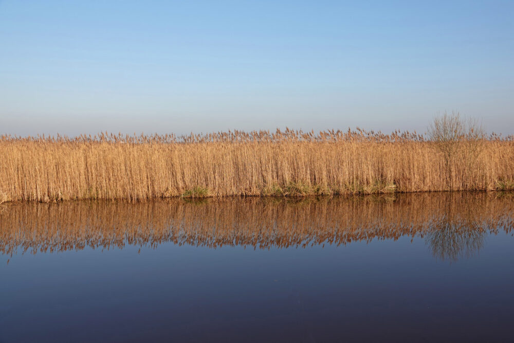 Weeringsbroeken in de winter