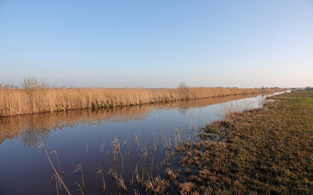Weeringsbroeken in de winter