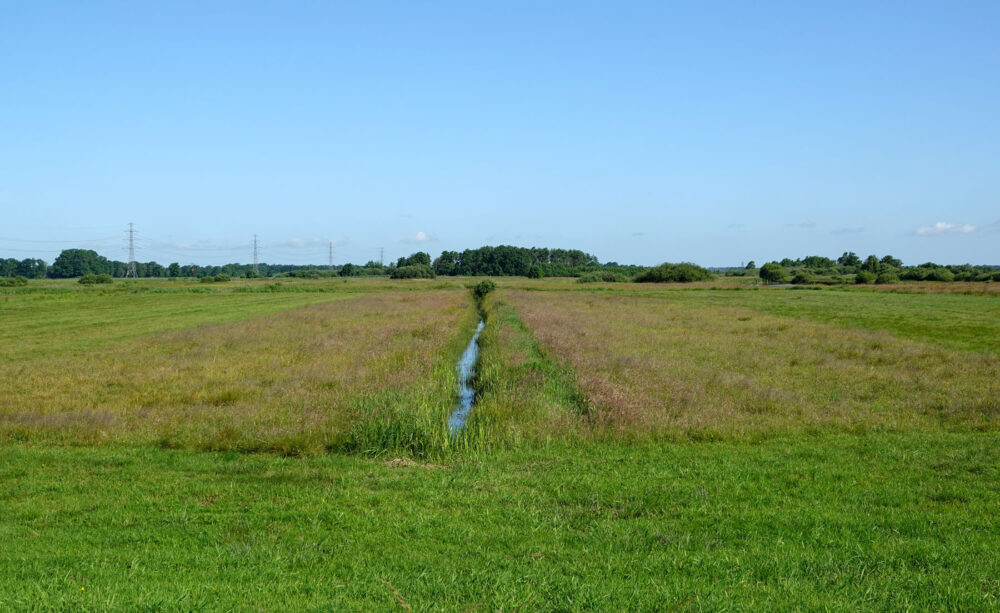 Weeringsbroeken in de zomer