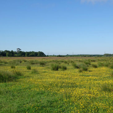 Weeringsbroeken (Onlanden)