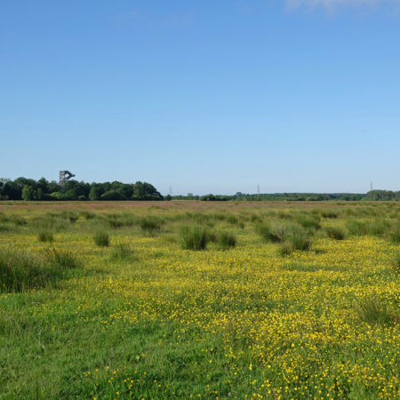 Weeringsbroeken (Onlanden)