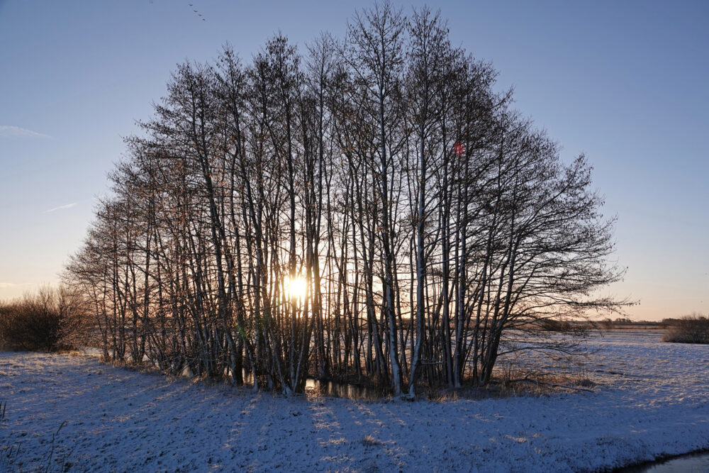 Weeringsbroeken inde winter