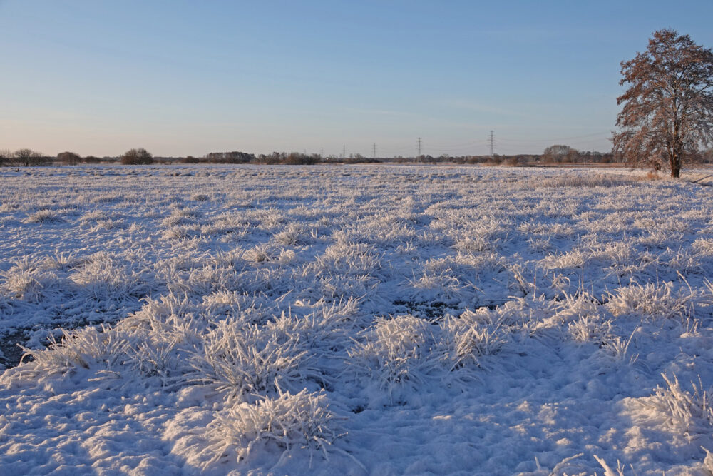 Weeringsbroeken inde winter