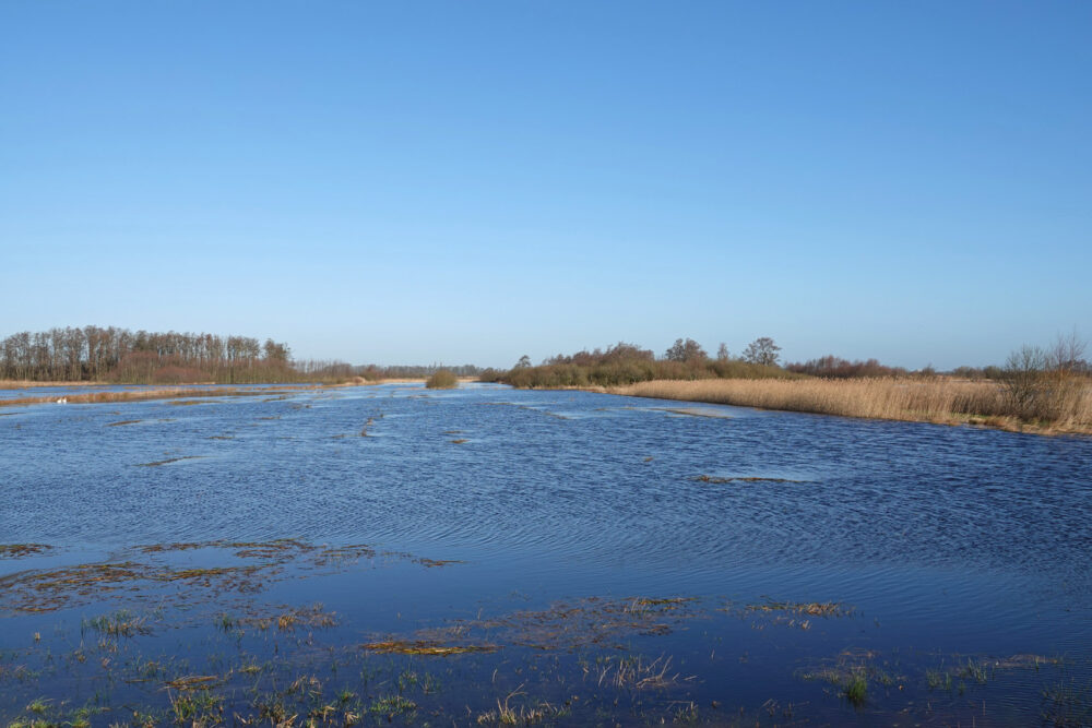 Weeringsbroeken met hoogwater (Onlanden)