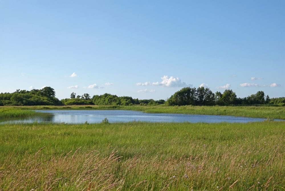 Weeringsbroeken