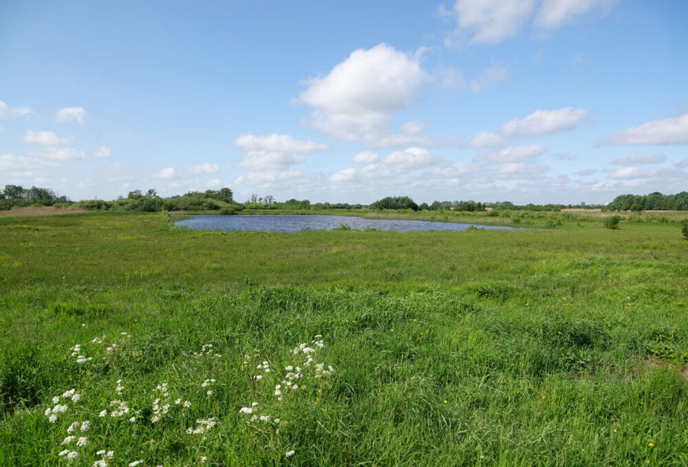 Weeringsbroeken